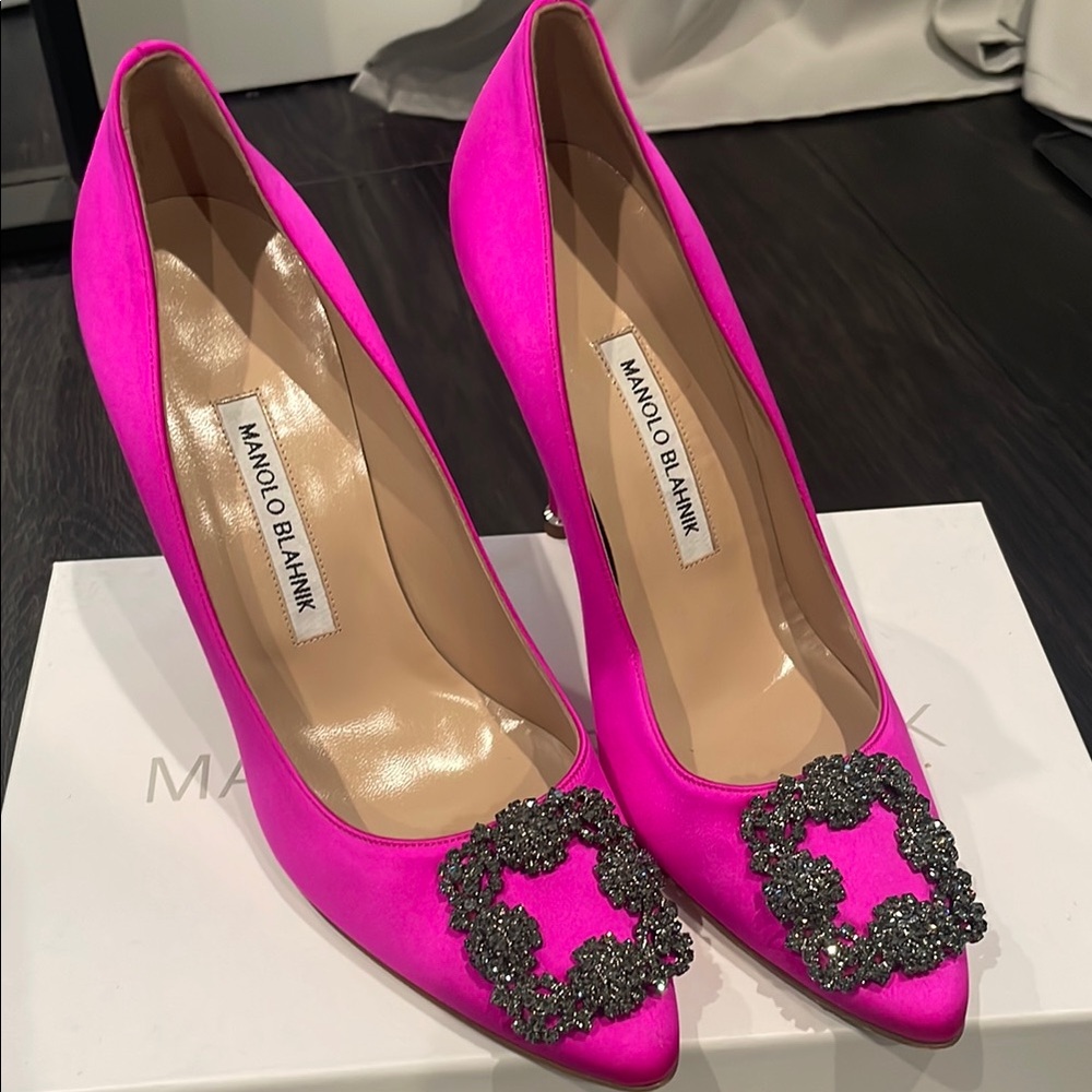Manolo Blahnik Pink Hangisi Heels with Dark Silver Buckle